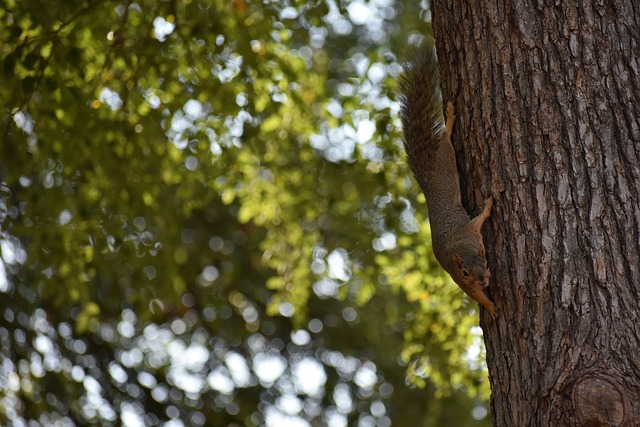 數據回顧 數據回顧