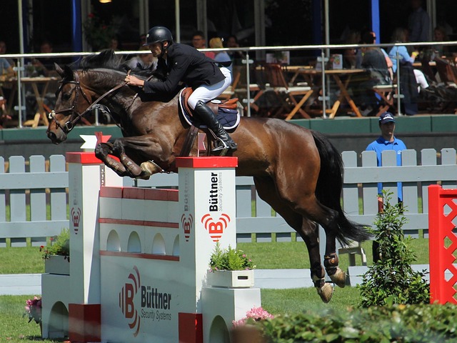 早田希娜自 早田希娜自