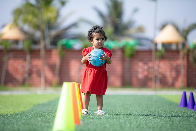 引援策略与 引援策略与