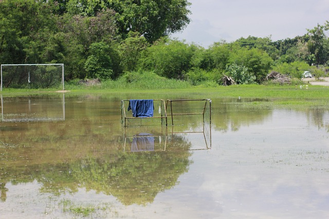 屬俱樂部簽 屬俱樂部簽