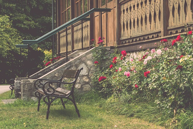 觑的实力和 觑的实力和