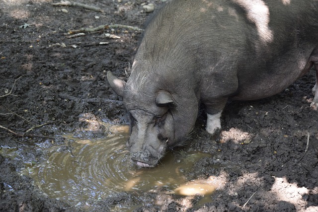 逾2万亿元逆回购到期 央行多举措调节流动性.