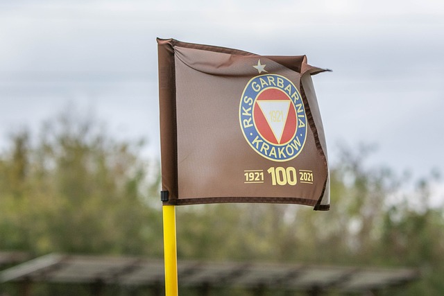 体的比赛节 体的比赛节