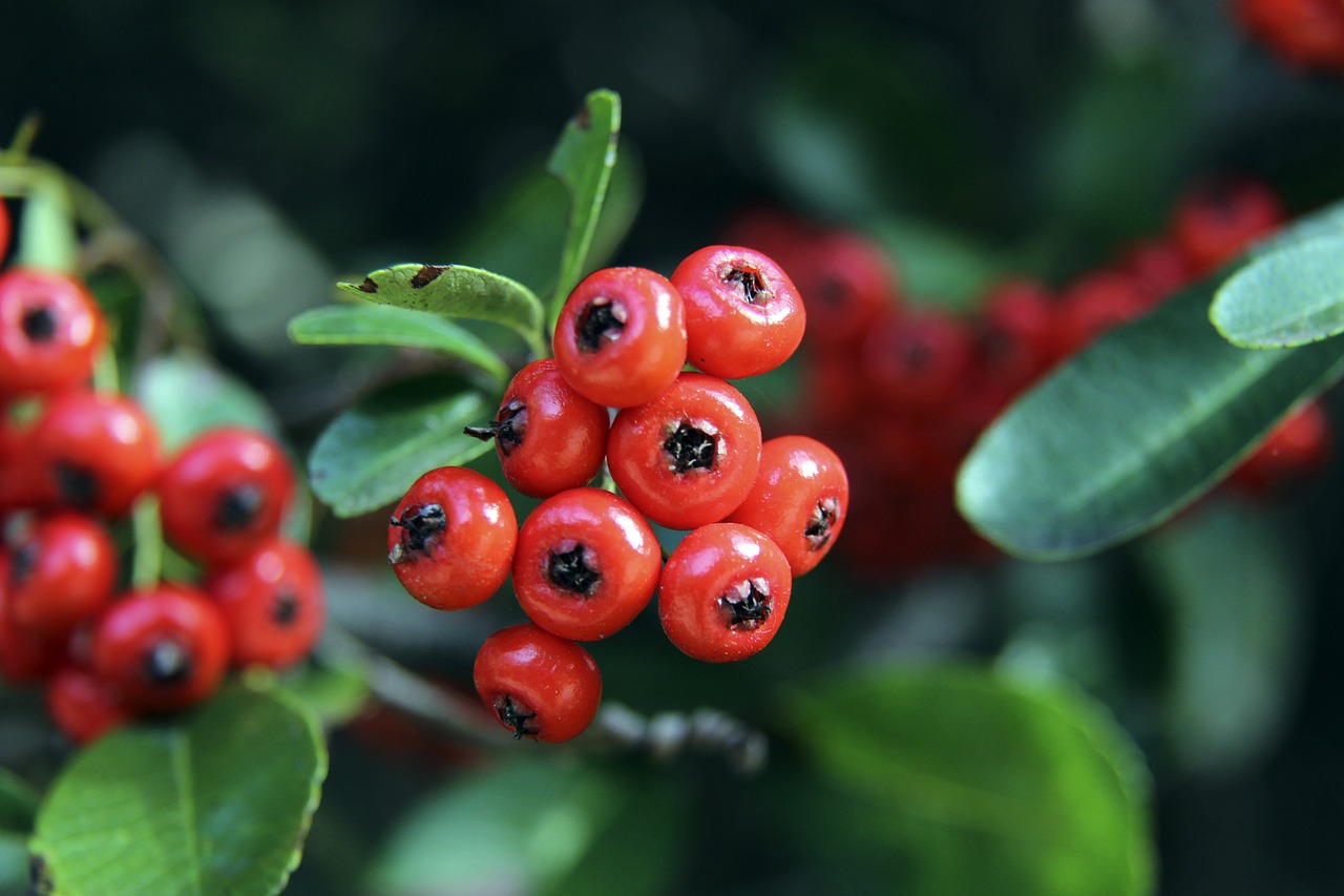 整战略以及 整战略以及