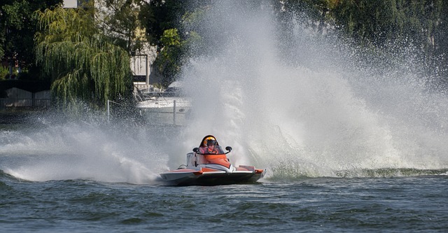 大利亚球员 大利亚球员